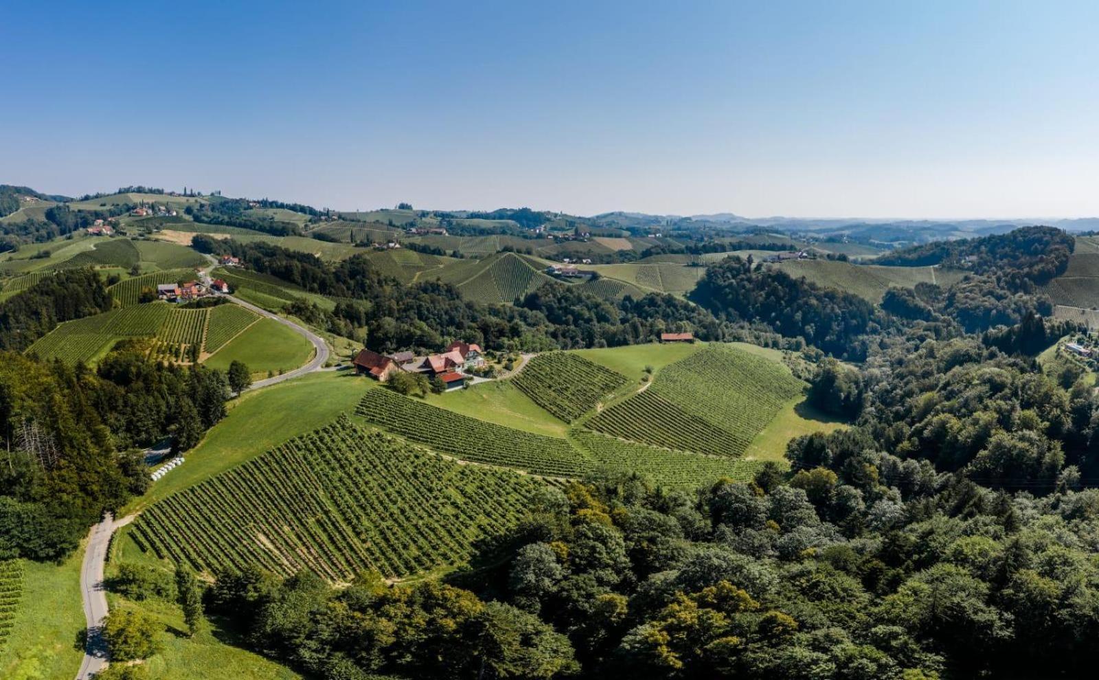 Weingut Juritsch Bed & Breakfast Leutschach Bagian luar foto