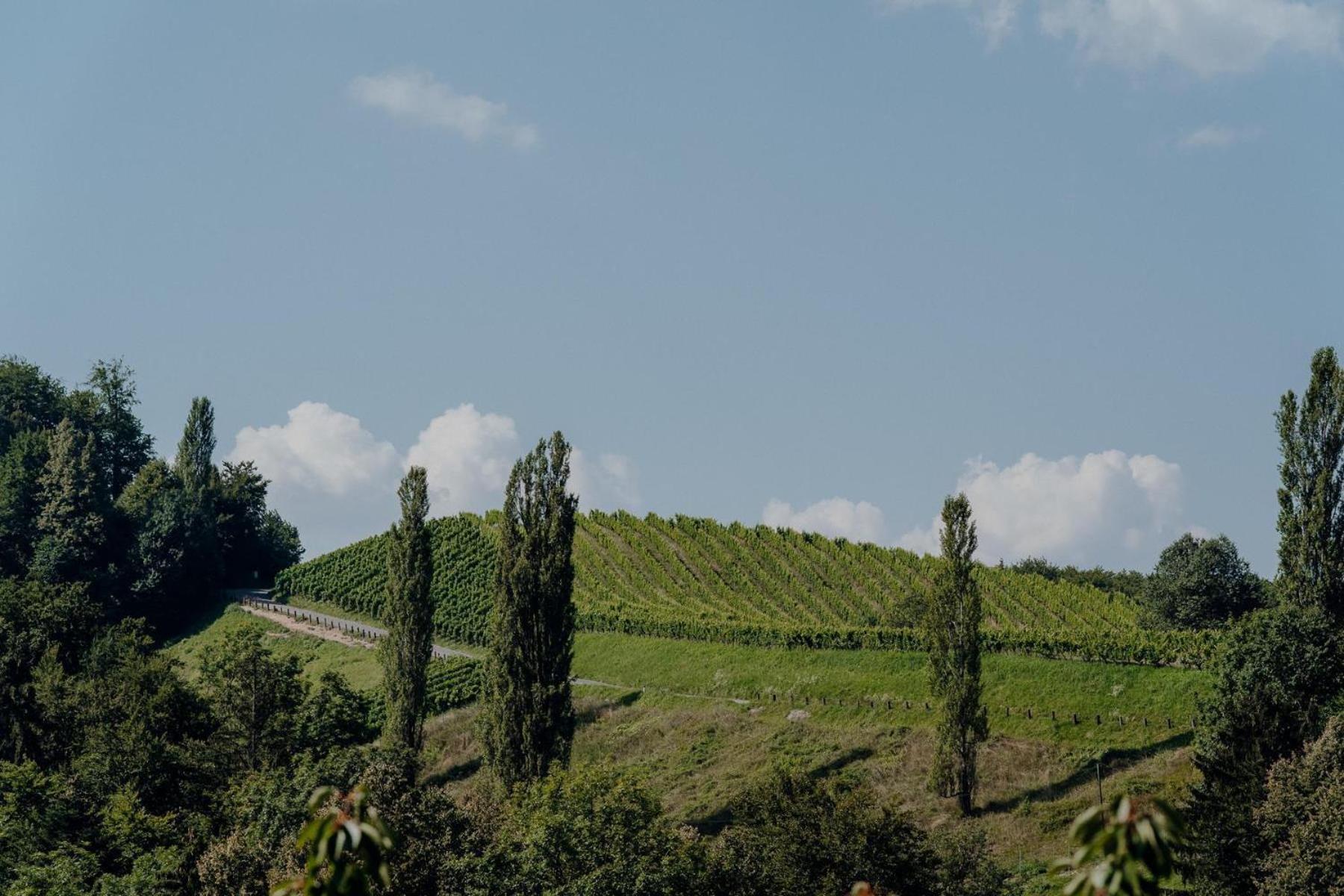 Weingut Juritsch Bed & Breakfast Leutschach Bagian luar foto