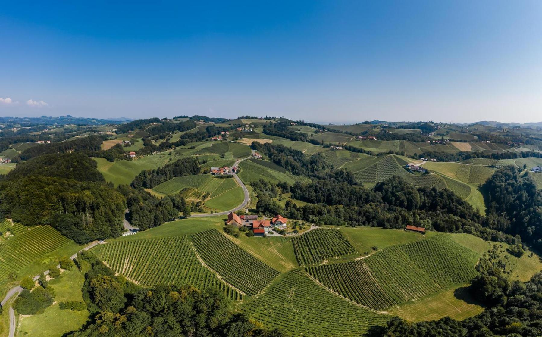 Weingut Juritsch Bed & Breakfast Leutschach Bagian luar foto